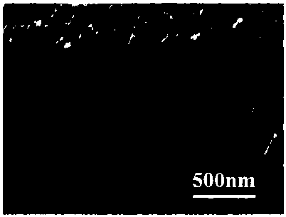 A method for preparing a tilted nanowire array structural antimony telluride based membrane by evaporation coating