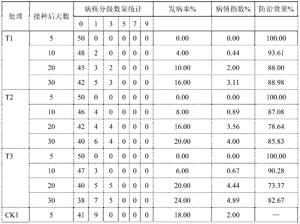 Saline-alkaline resistant Bacillus pacificus, and biogen and application thereof