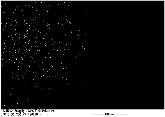 Preparation method of carbon nano-enzyme co-doped with active metal and nitrogen element and application thereof as nano biological probe for detecting hydrogen peroxide