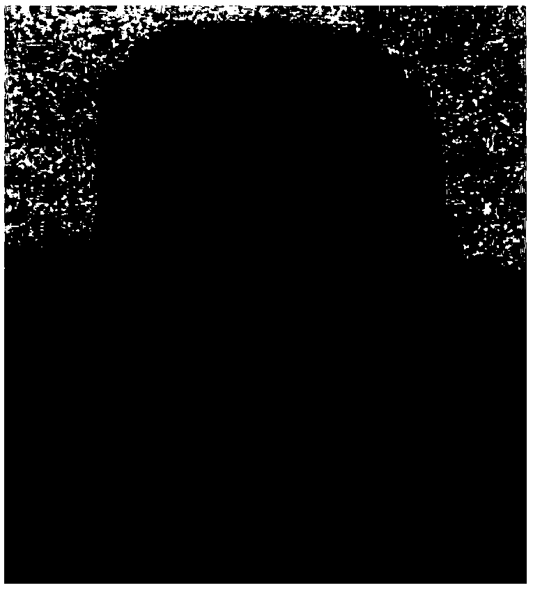 In-situ preparation method for magnetic wood-based material