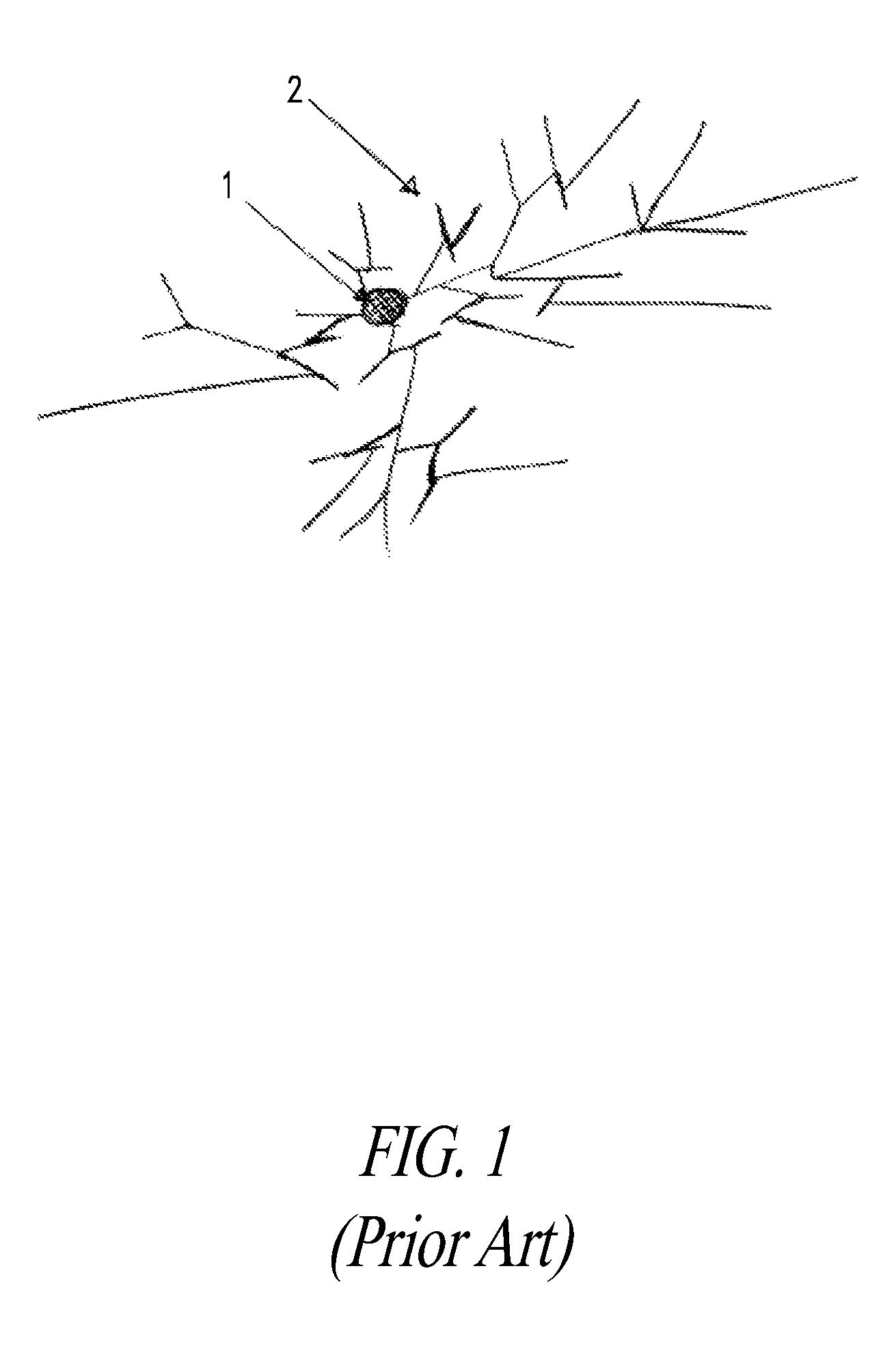 Microbial enhanced oil recovery process for heavy oil accumulations