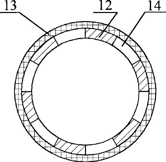 Ammine reducing reagent storing device in NH3-SCR system of diesel vehicle