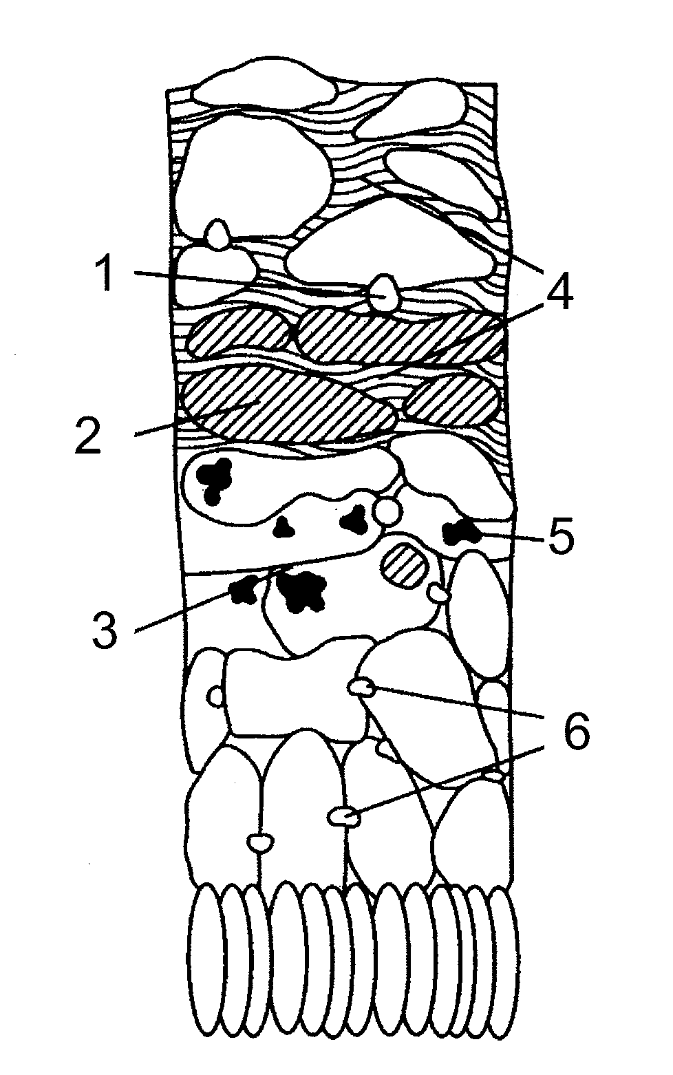 Pharmaceutical compositions