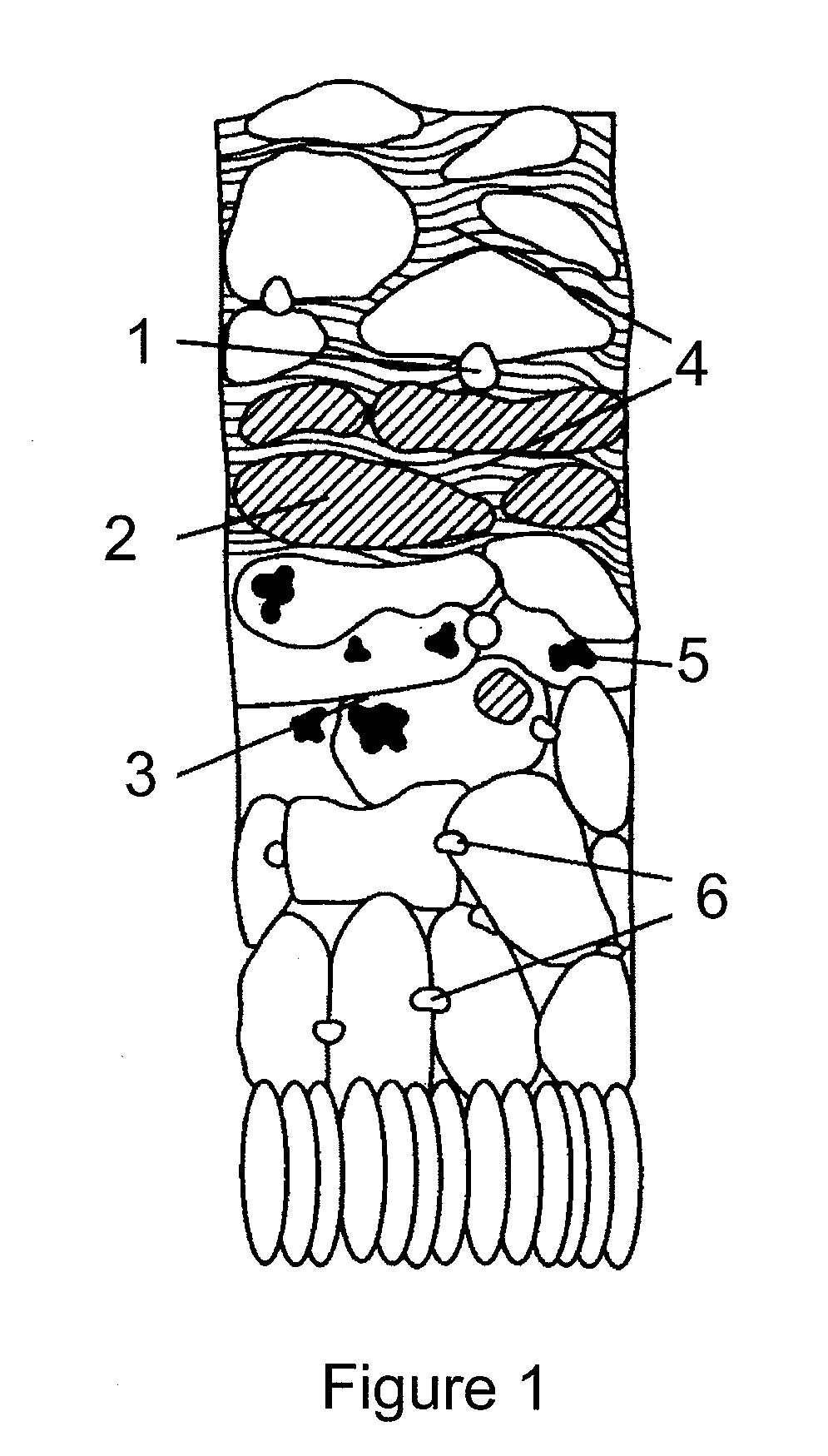 Pharmaceutical compositions