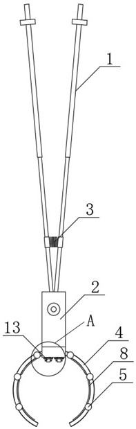 Device for removing plants attached to tree trunks of felling sample trees for forestry field investigation