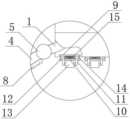 Device for removing plants attached to tree trunks of felling sample trees for forestry field investigation