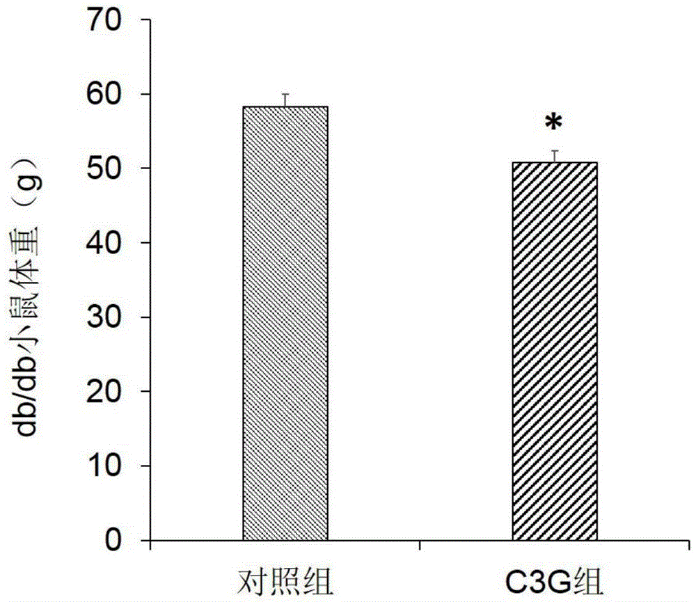 Application of cornflower-3-oxo-glucoside in medicines for treating obesity and related diseases