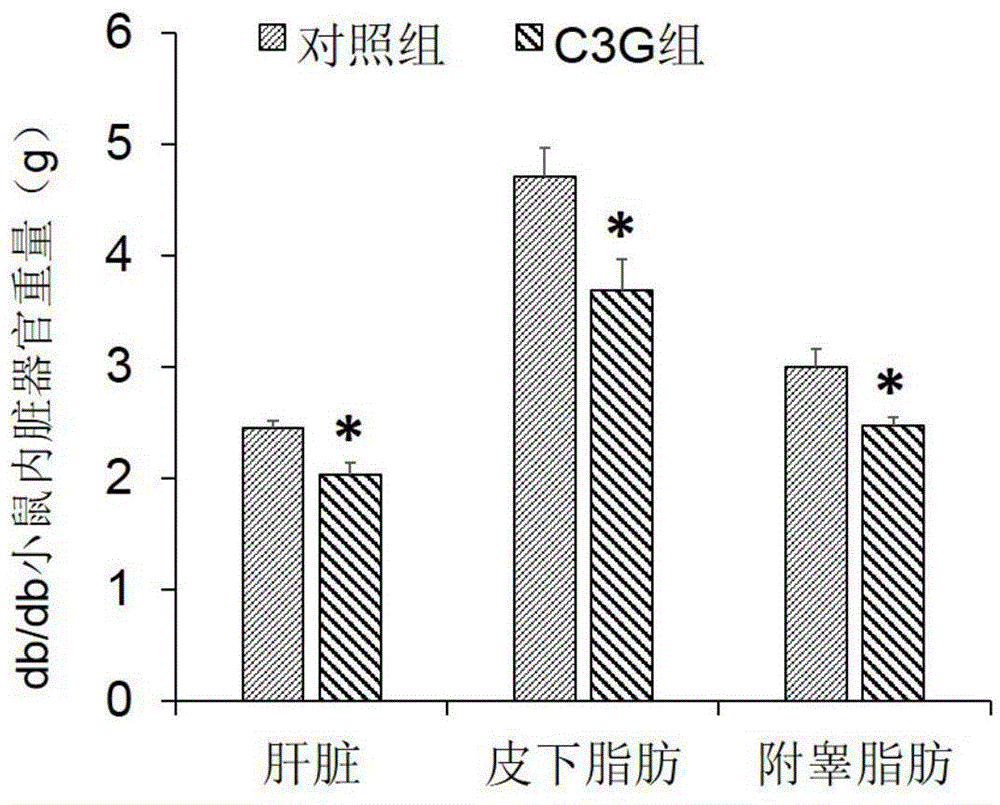 Application of cornflower-3-oxo-glucoside in medicines for treating obesity and related diseases