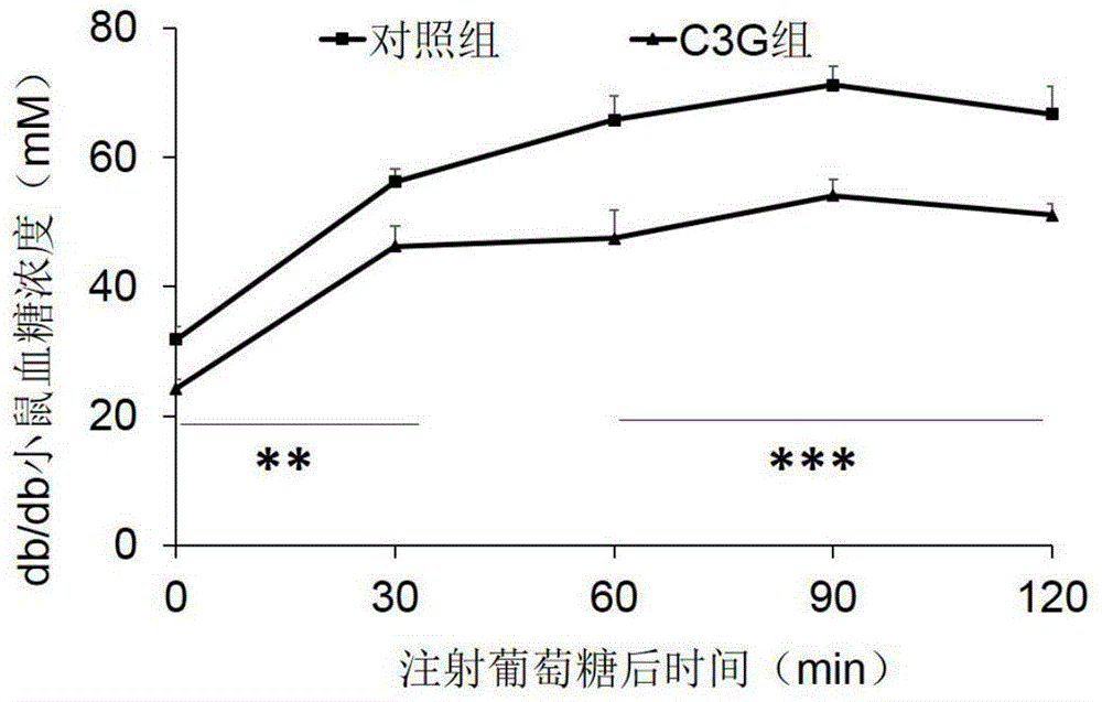 Application of cornflower-3-oxo-glucoside in medicines for treating obesity and related diseases