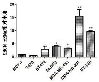 Application of SRGN gene in serving as serum marker for detecting triple-negative breast cancer