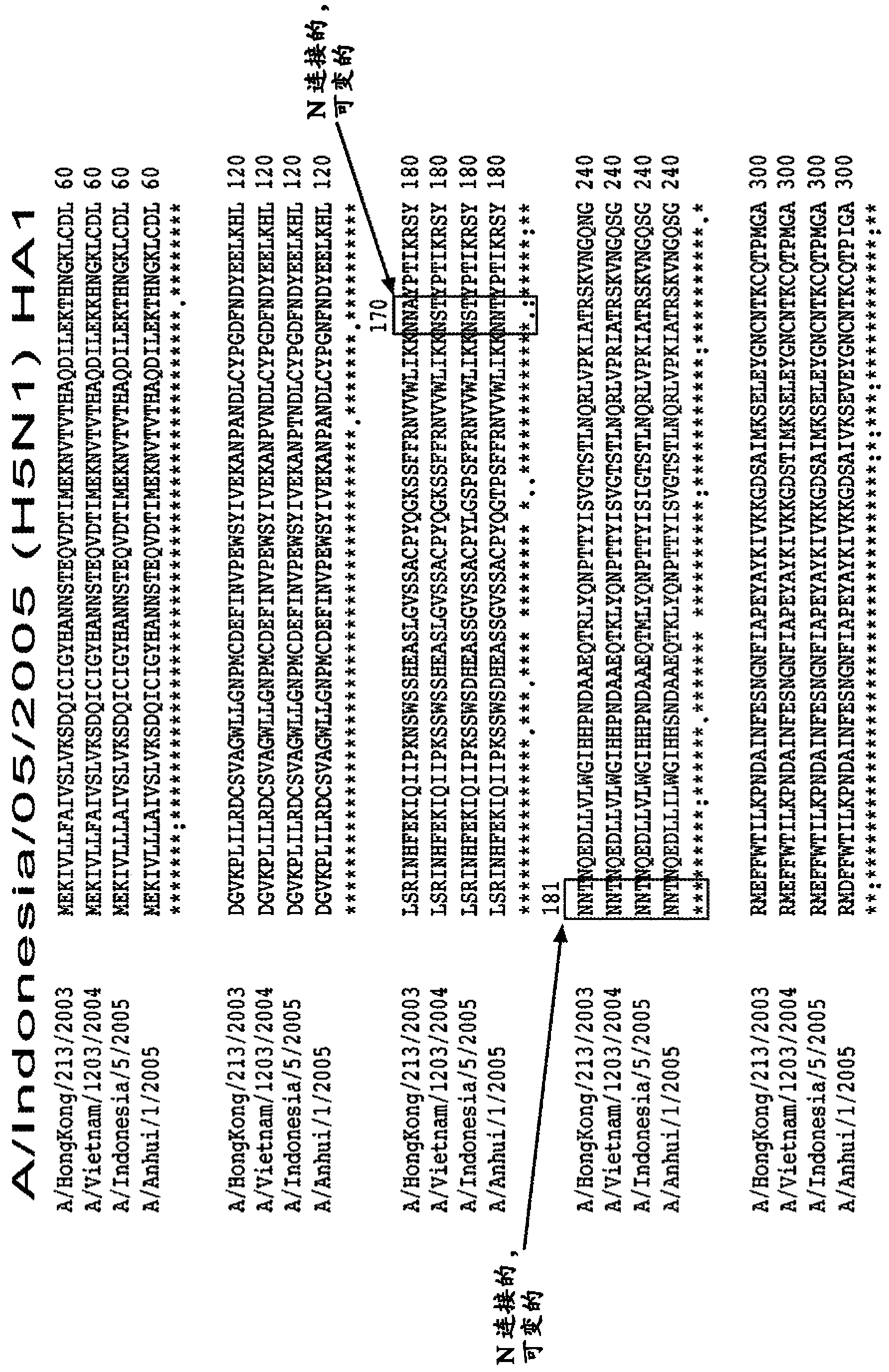 Modified influenza hemagglutinin proteins and uses thereof