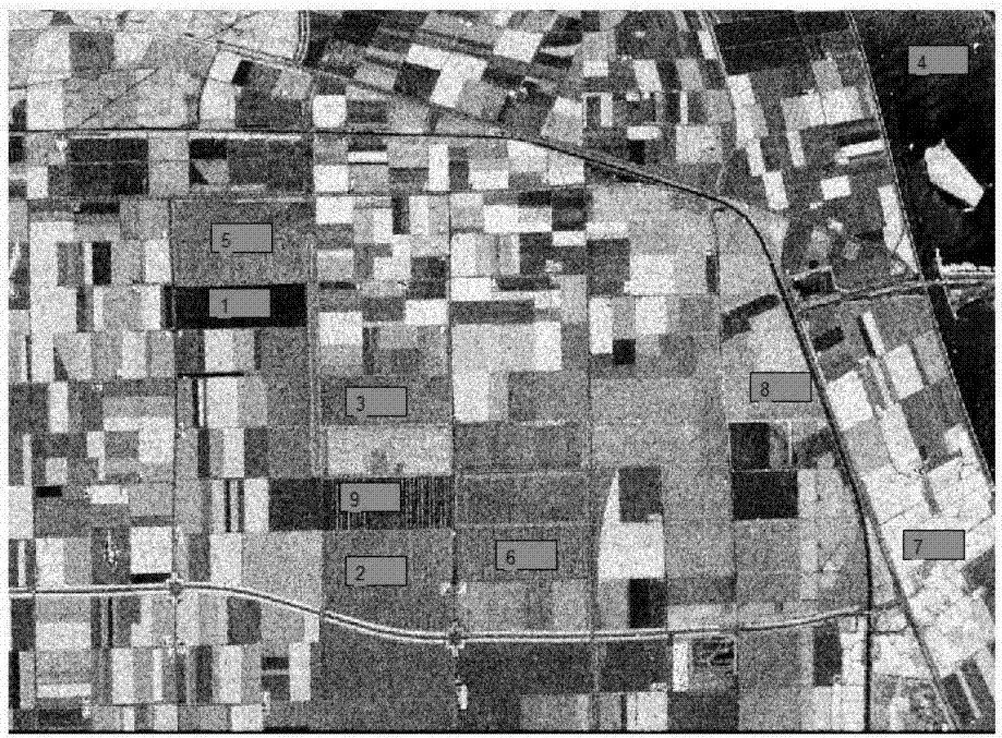 Polarized SAR classification method based on deep learning of shallow-layer characteristics and T-matrix