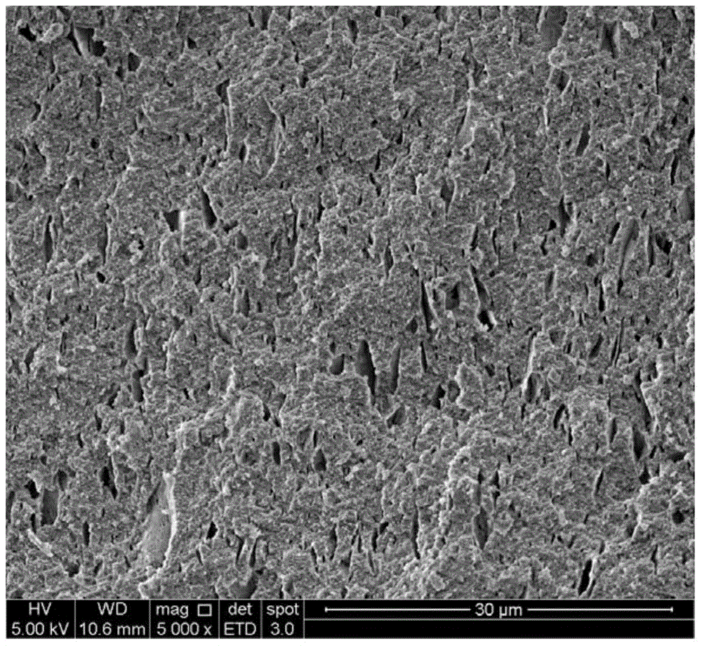 Porous alumina ceramic, and preparation method and application thereof