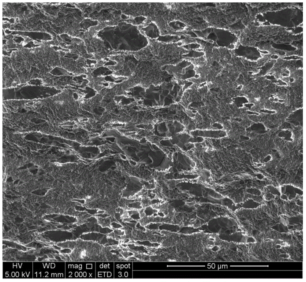 Porous alumina ceramic, and preparation method and application thereof