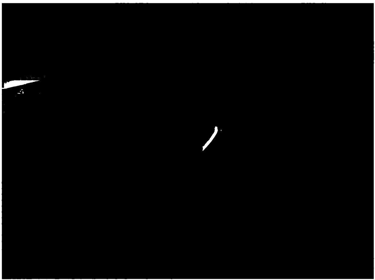 Image annotation information processing method and device, server and system