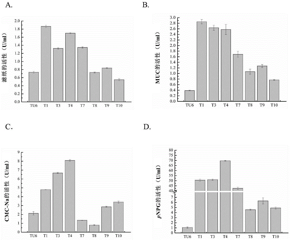 Method for improving enzyme activity of cellulose of trichoderma reesei