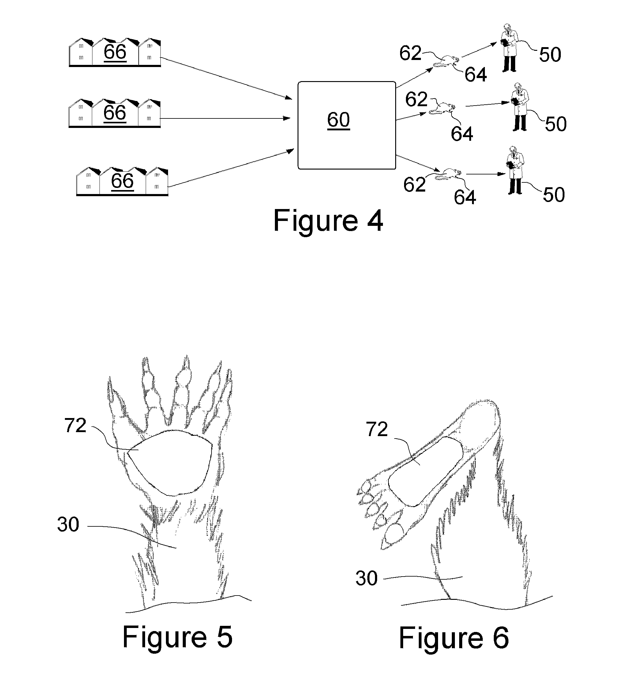 Medical Devices and Techniques for Rodent and Small Mammalian Based Research