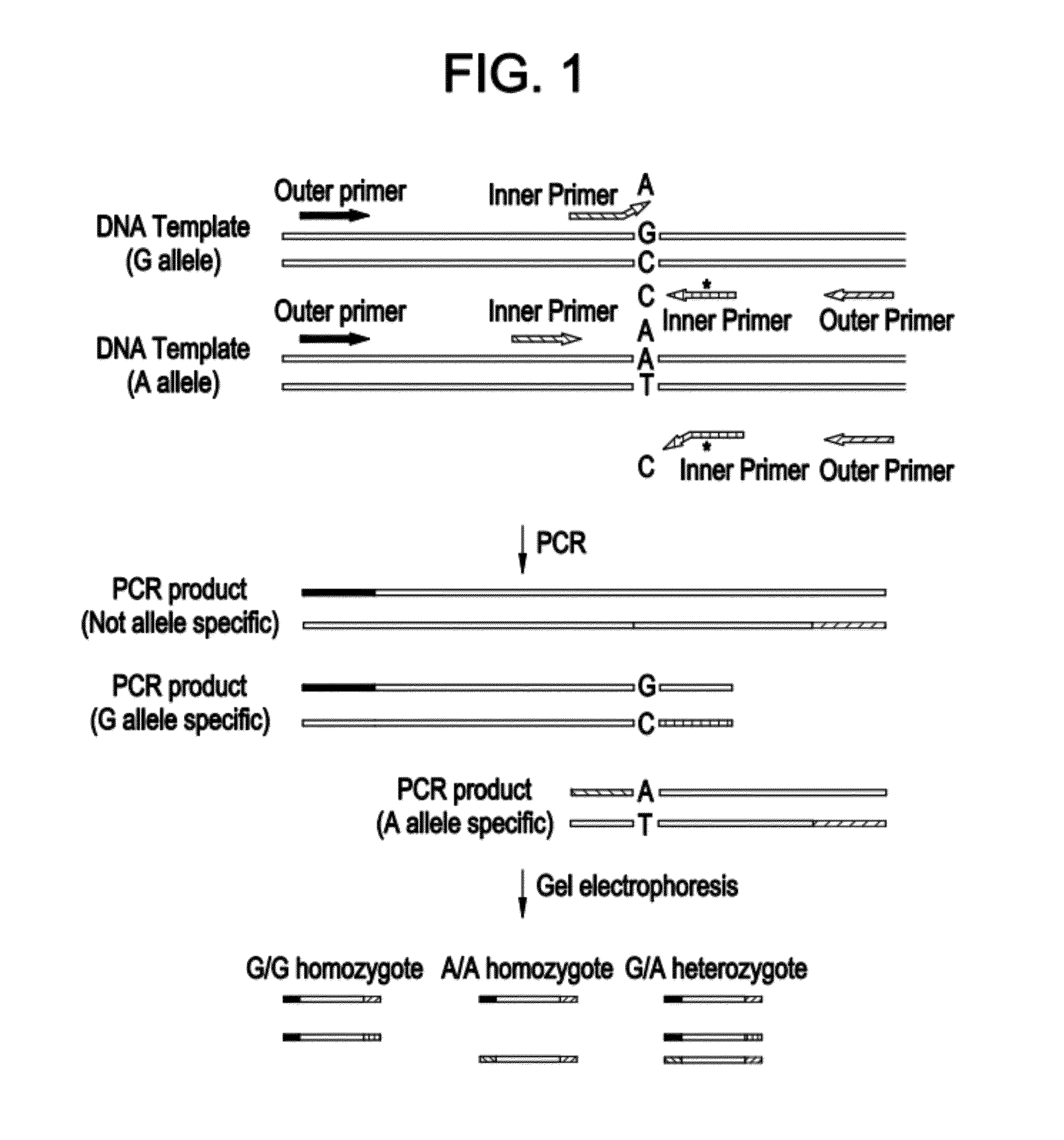 One-step method of elution of DNA from blood samples