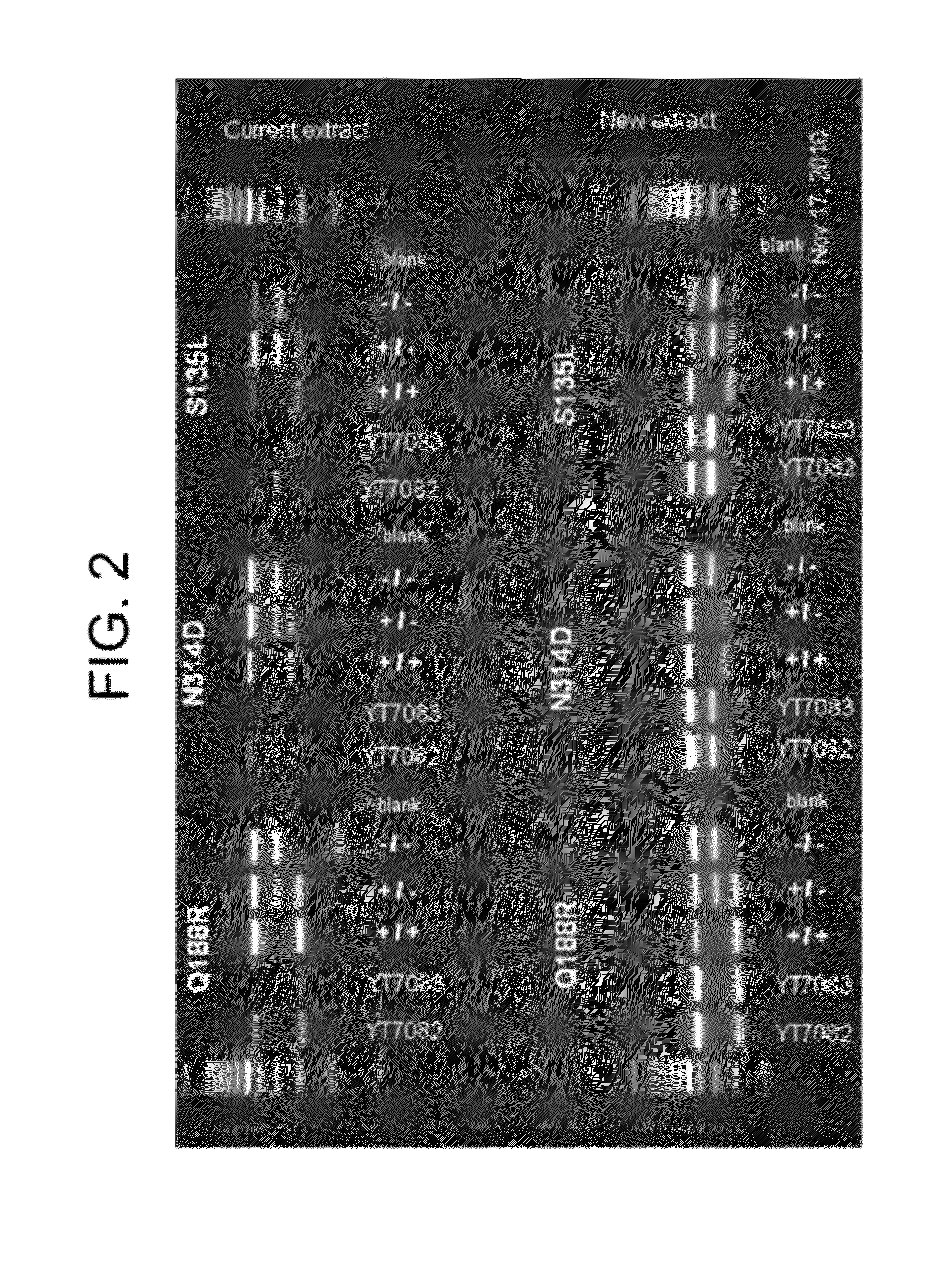 One-step method of elution of DNA from blood samples