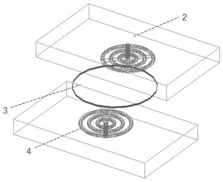 Cerebrospinal fluid exosomal RNA detection device, system and method based on microfluidic technology