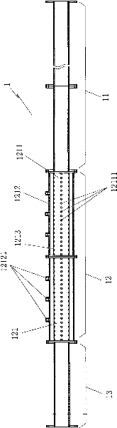 Wellbore solid-liquid two-phase mass flow simulation system for complex structure wells