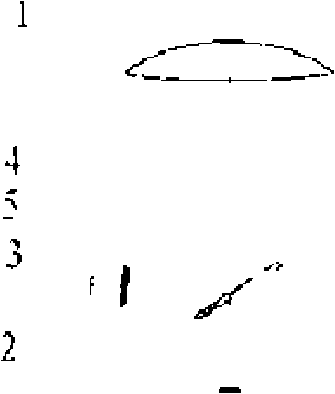 Optical system of laser ceilometer