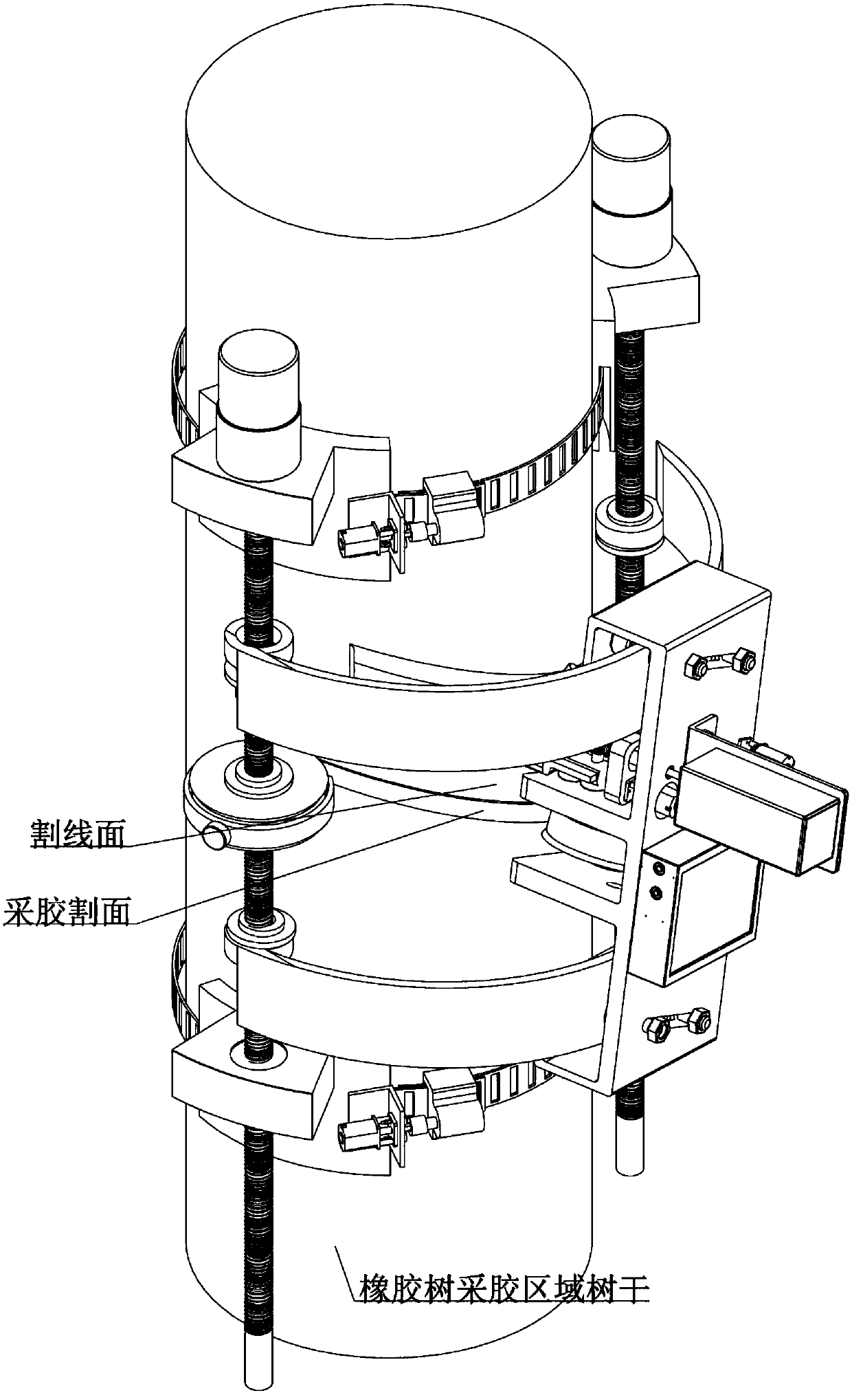 Intelligent automatic rubber cutter