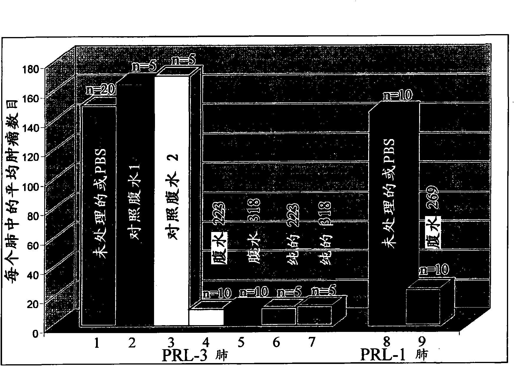 Antibodies binding to an intracellular prl-1 or prl-3 polypeptide