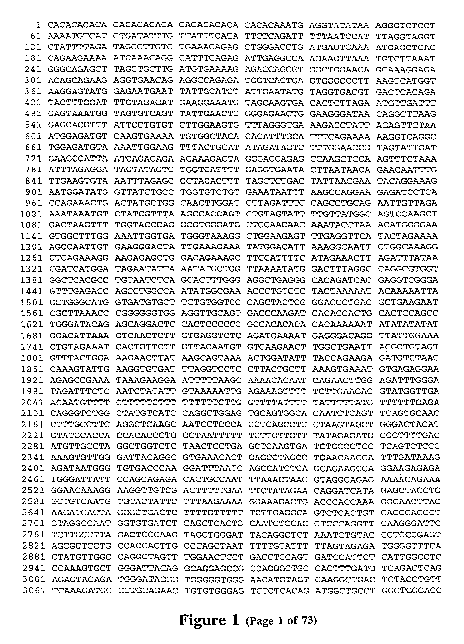 Polymorphisms in the region of the human hemochromatosis gene