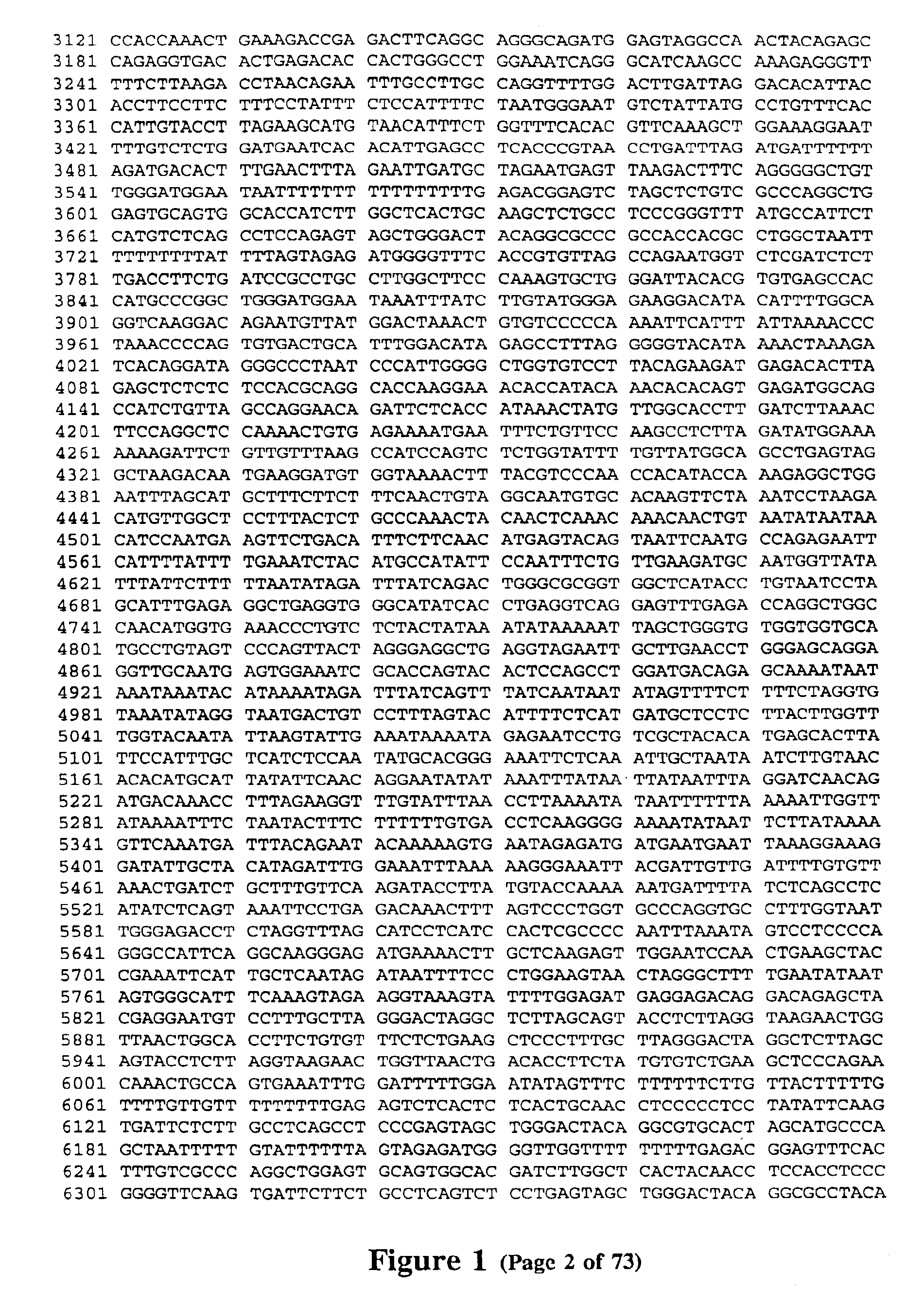 Polymorphisms in the region of the human hemochromatosis gene