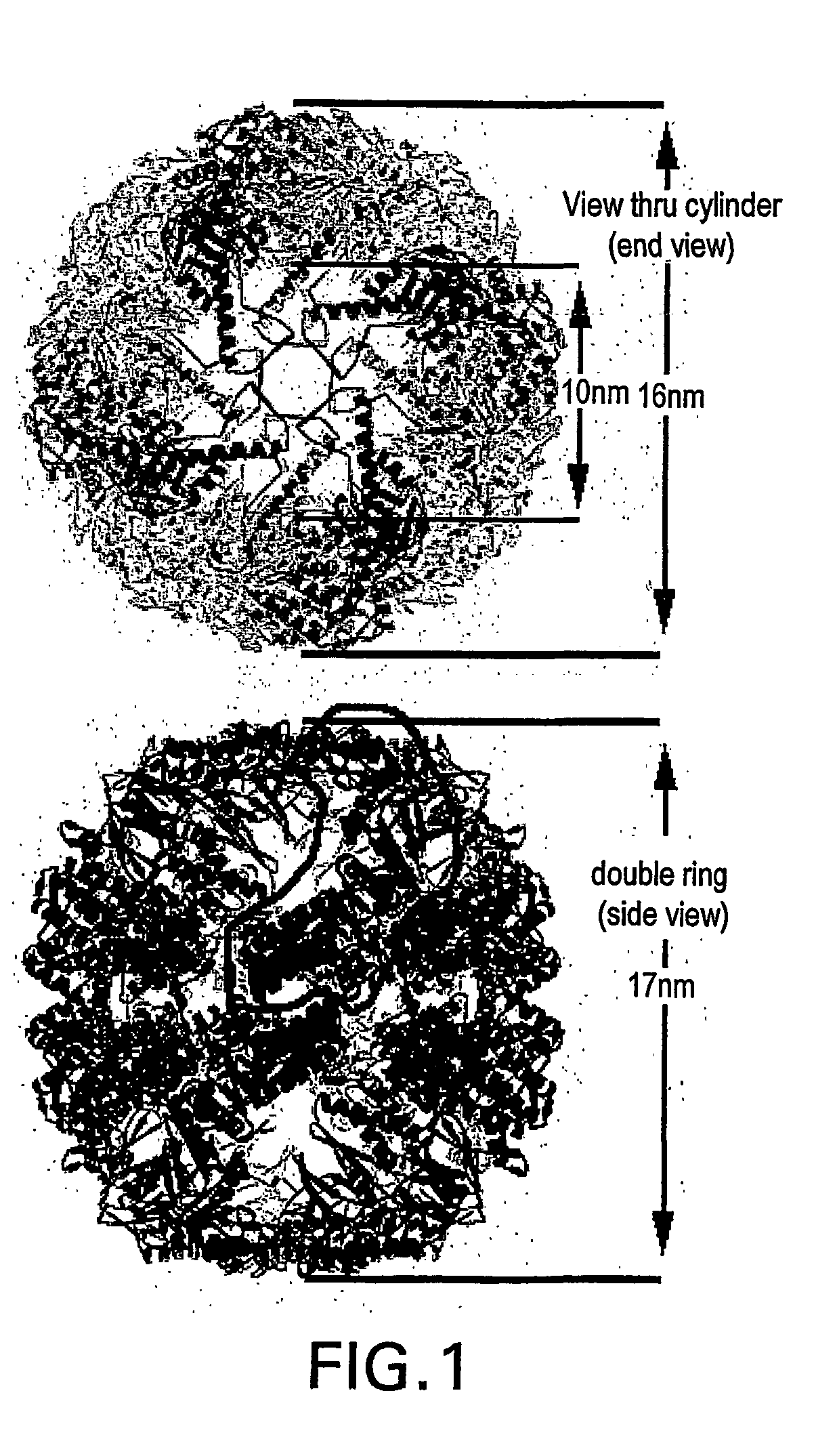 Ordered biological nanostructures formed from chaperonin polypeptides