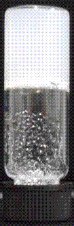 Method for preparing supermolecule hydrogel based on amphiphilic micromolecules (cholesterol and phosphorylcholine)