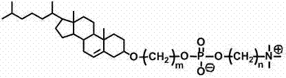 Method for preparing supermolecule hydrogel based on amphiphilic micromolecules (cholesterol and phosphorylcholine)