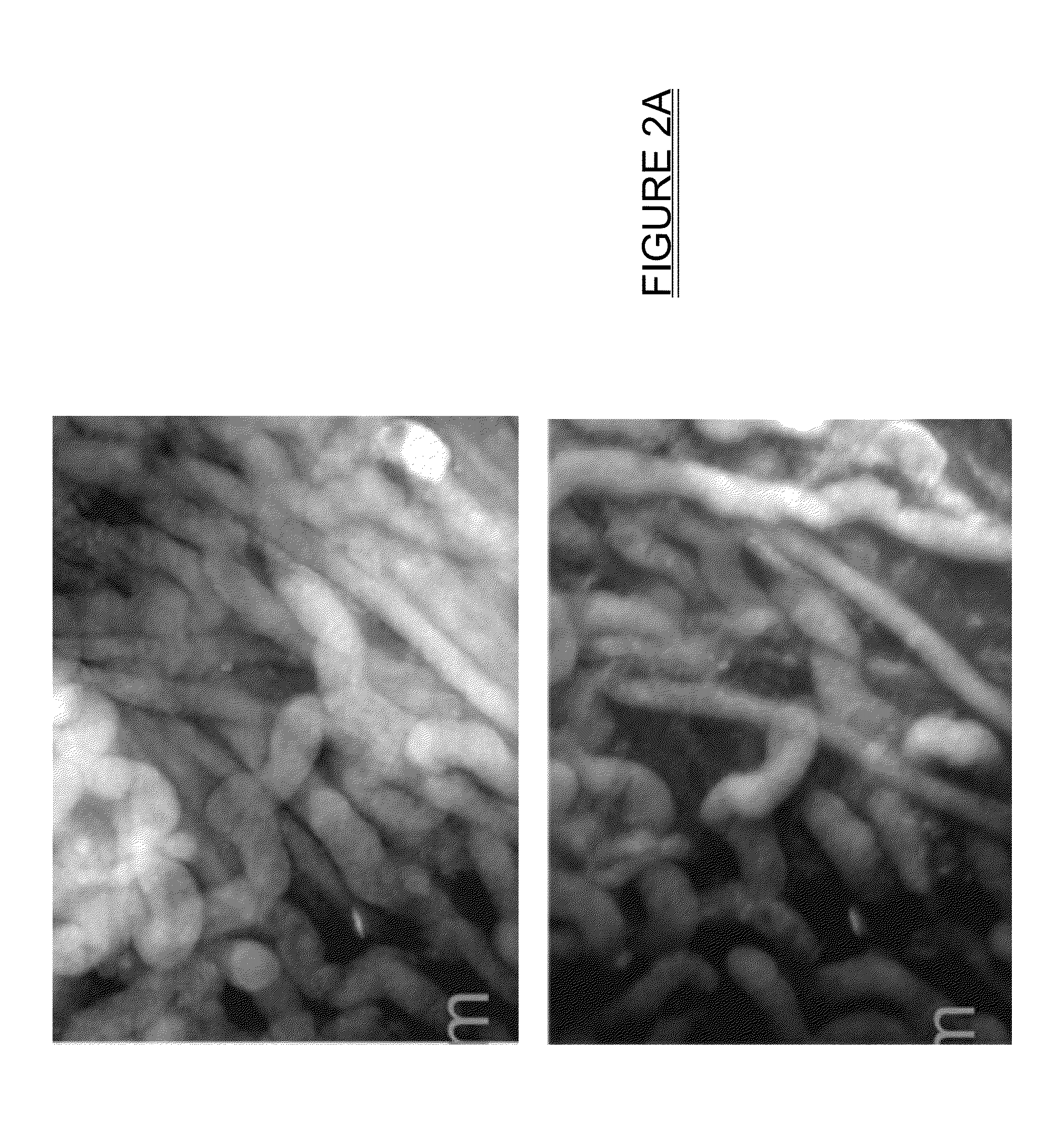 System and method for controlling depth of imaging in tissues using fluorescence microscopy under ultraviolet excitation following staining with fluorescing agents