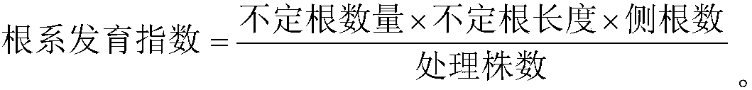 Treating fluid and method for water cutting propagation of rosa chinensis by using same