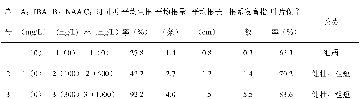 Treating fluid and method for water cutting propagation of rosa chinensis by using same