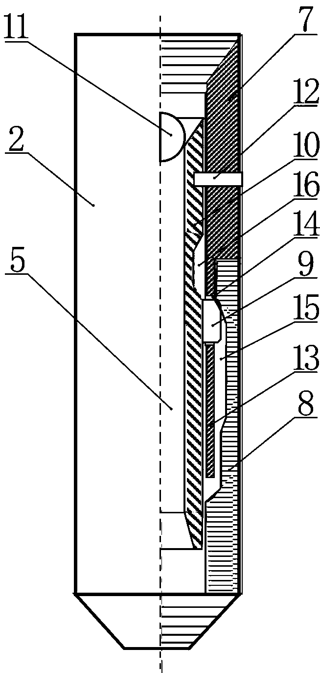 Flushing and ignition device for continuous oil pipe