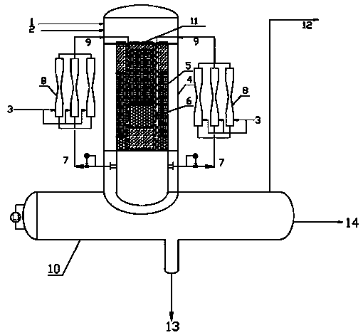 A kind of apparatus and process method for alkylation reaction