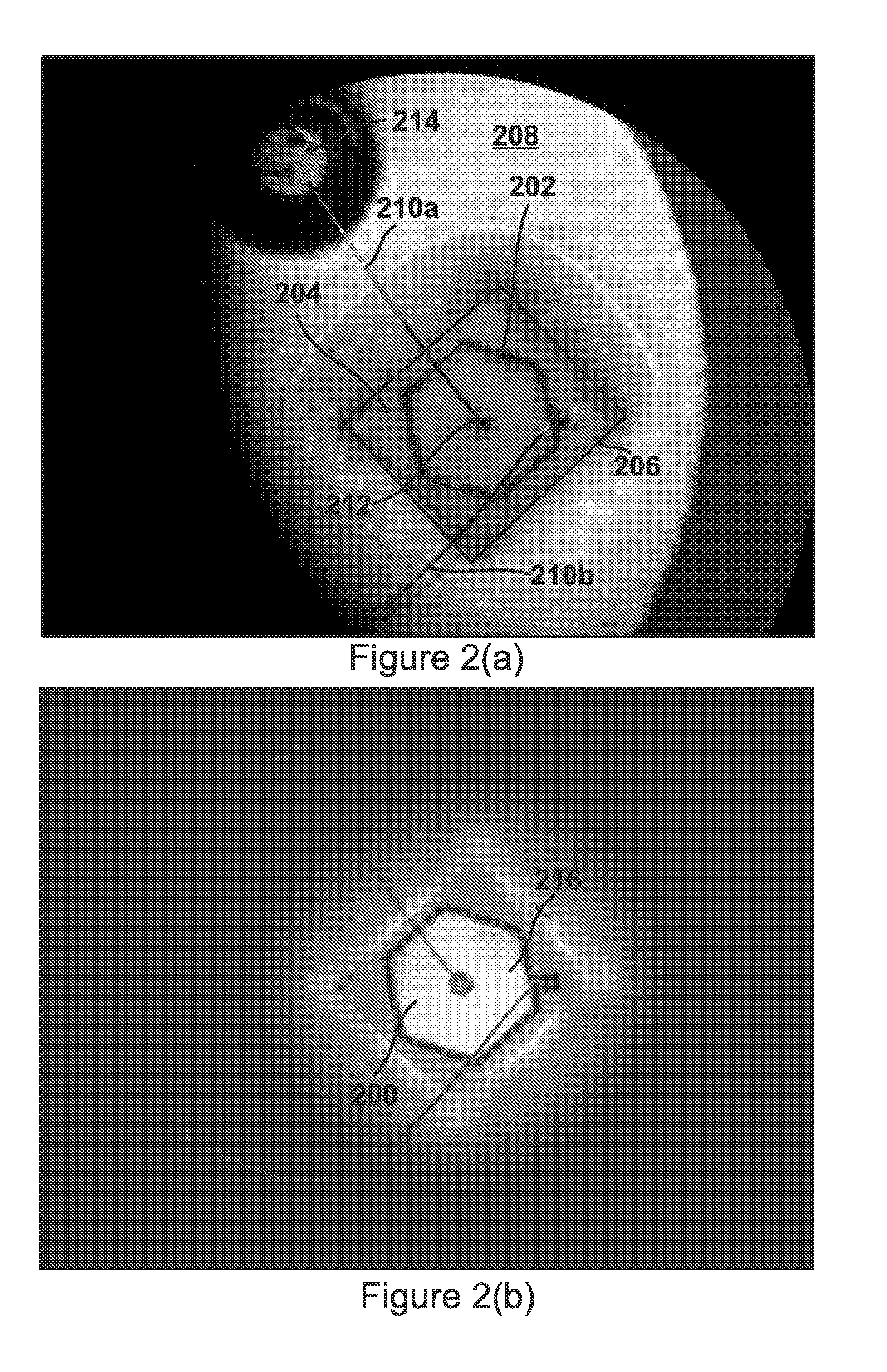 Light emitting diodes with zinc oxide current spreading and light extraction layers deposited from low temperature aqueous solution