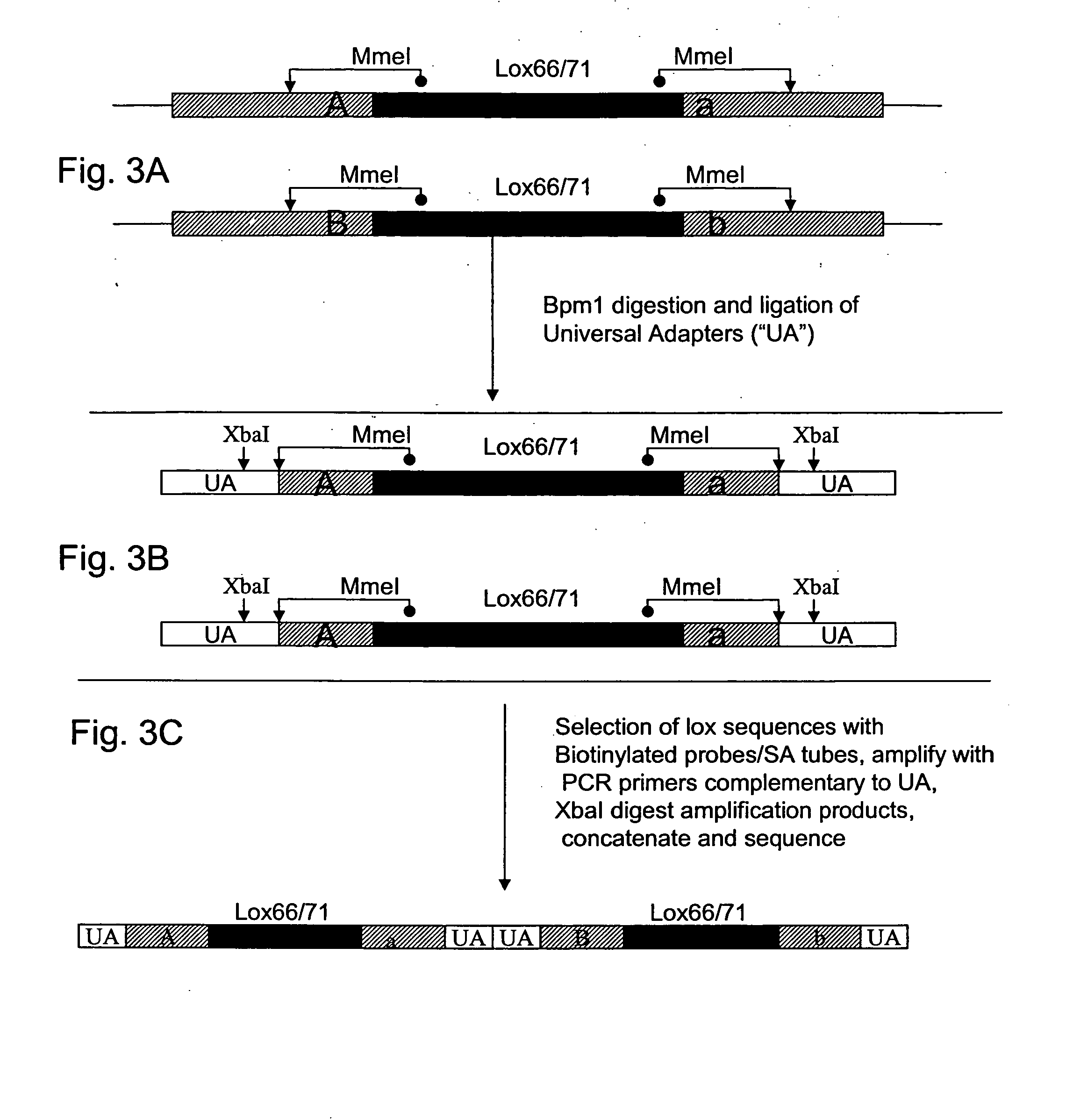 Methods for protein interaction determination