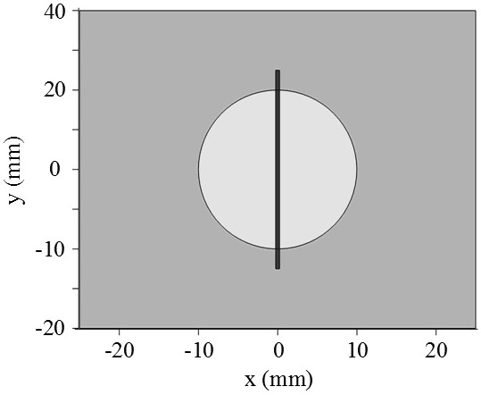 Automatic positioning method for critical heat production value of magnetic nanoparticles based on simplex algorithm