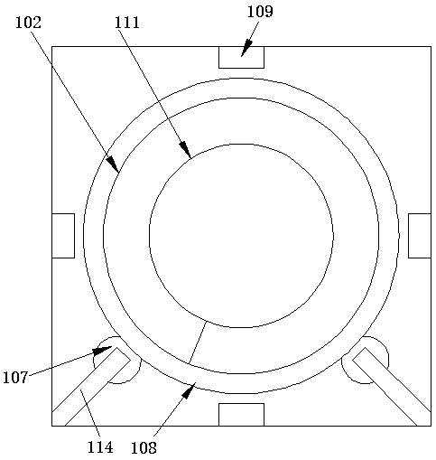 Preparation method of high-quality olive kernel oil