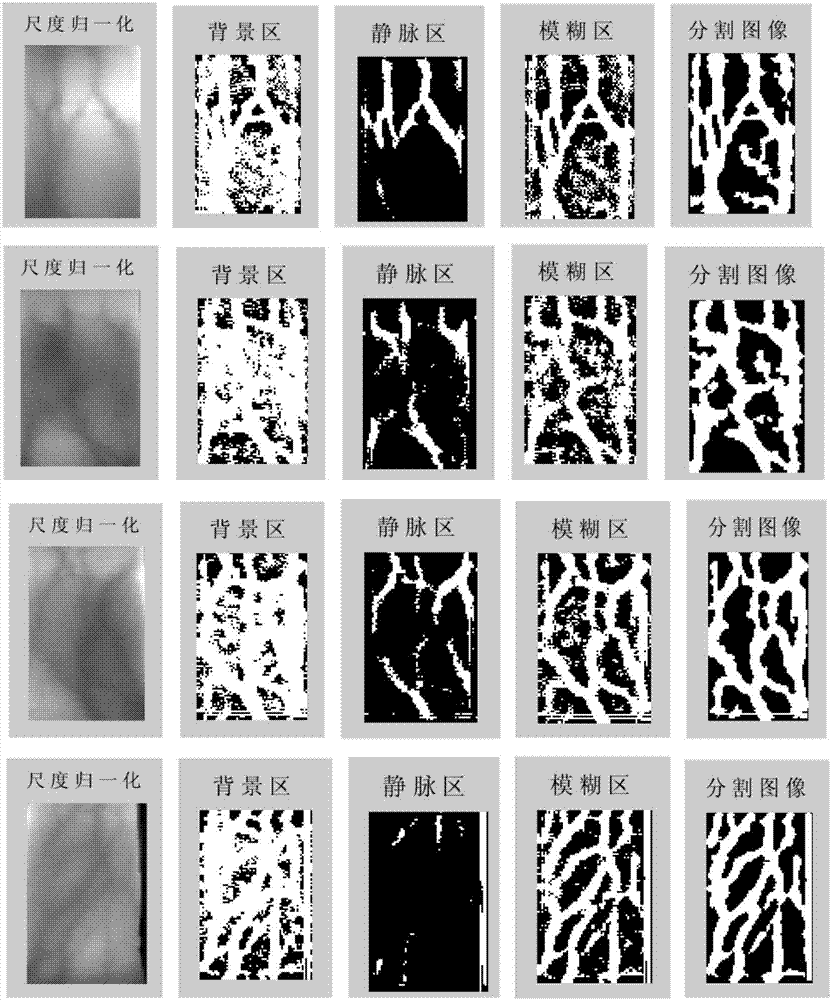 Finger vein image segmentation method based on directional valley detection, system thereof and terminal