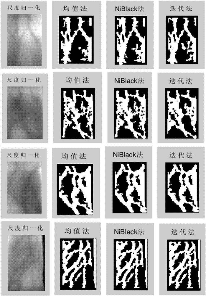 Finger vein image segmentation method based on directional valley detection, system thereof and terminal