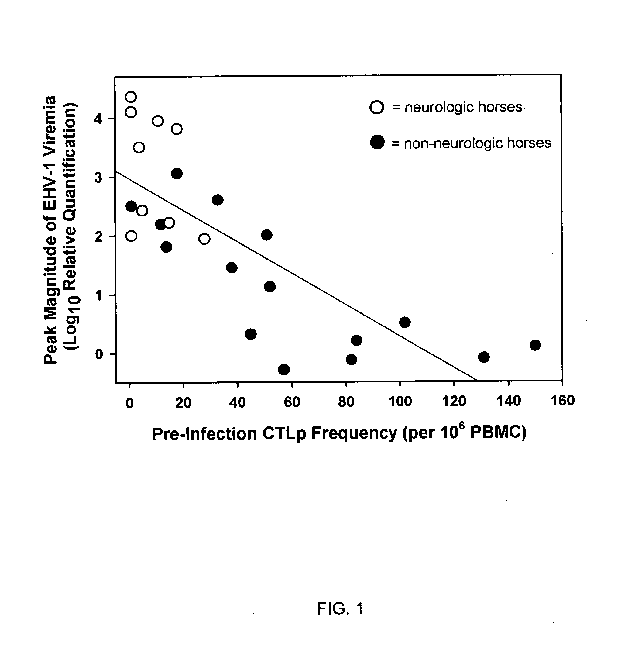 Equine disease model for herpesvirus neurologic disease and uses thereof