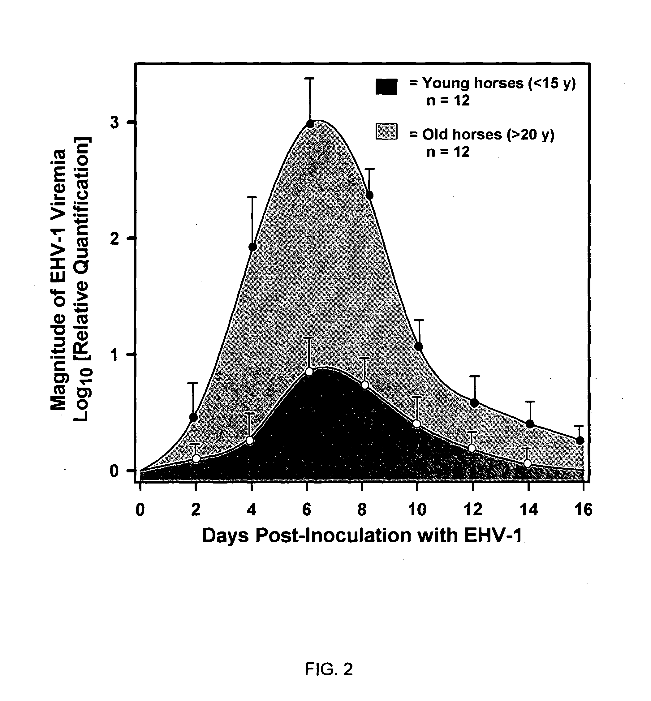 Equine disease model for herpesvirus neurologic disease and uses thereof