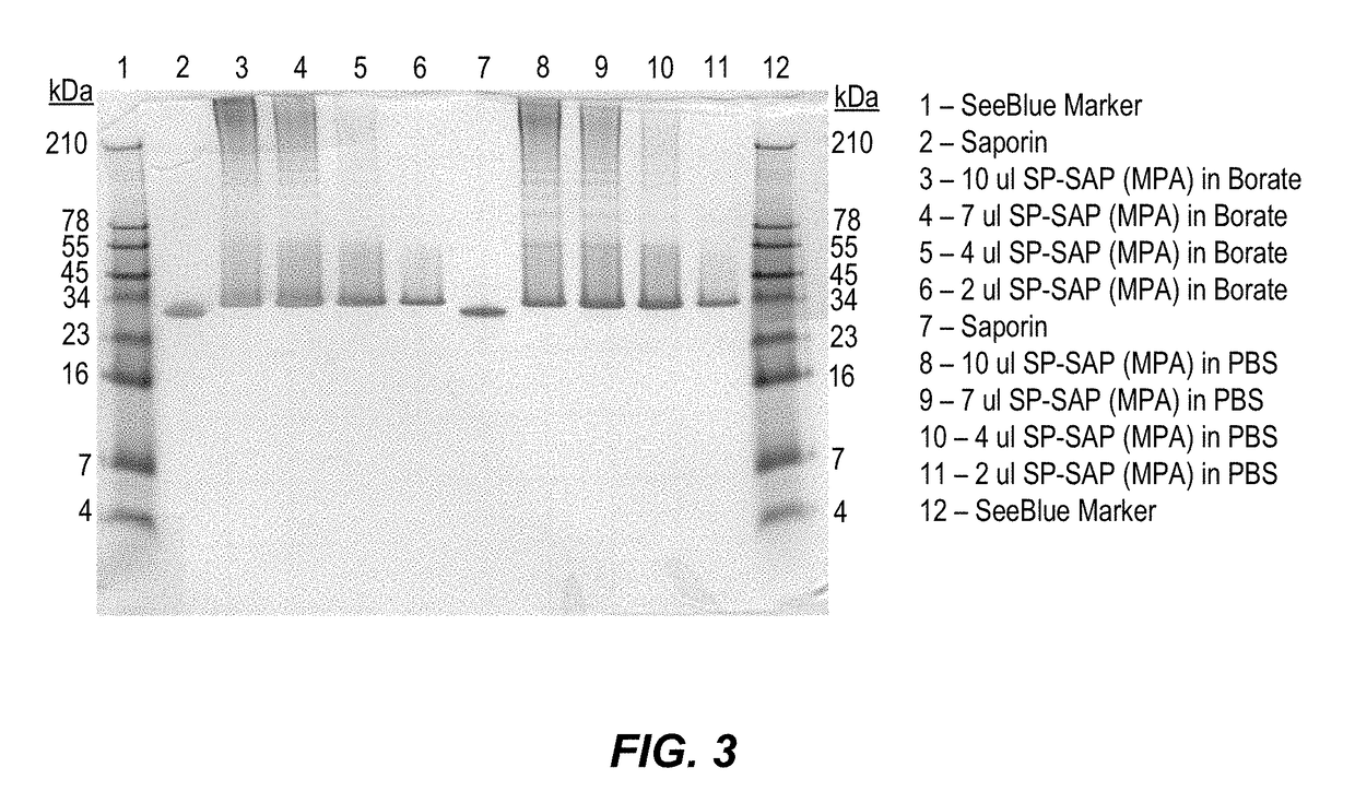 Non-Cleavable Substance P Conjugates and Methods of Use Thereof