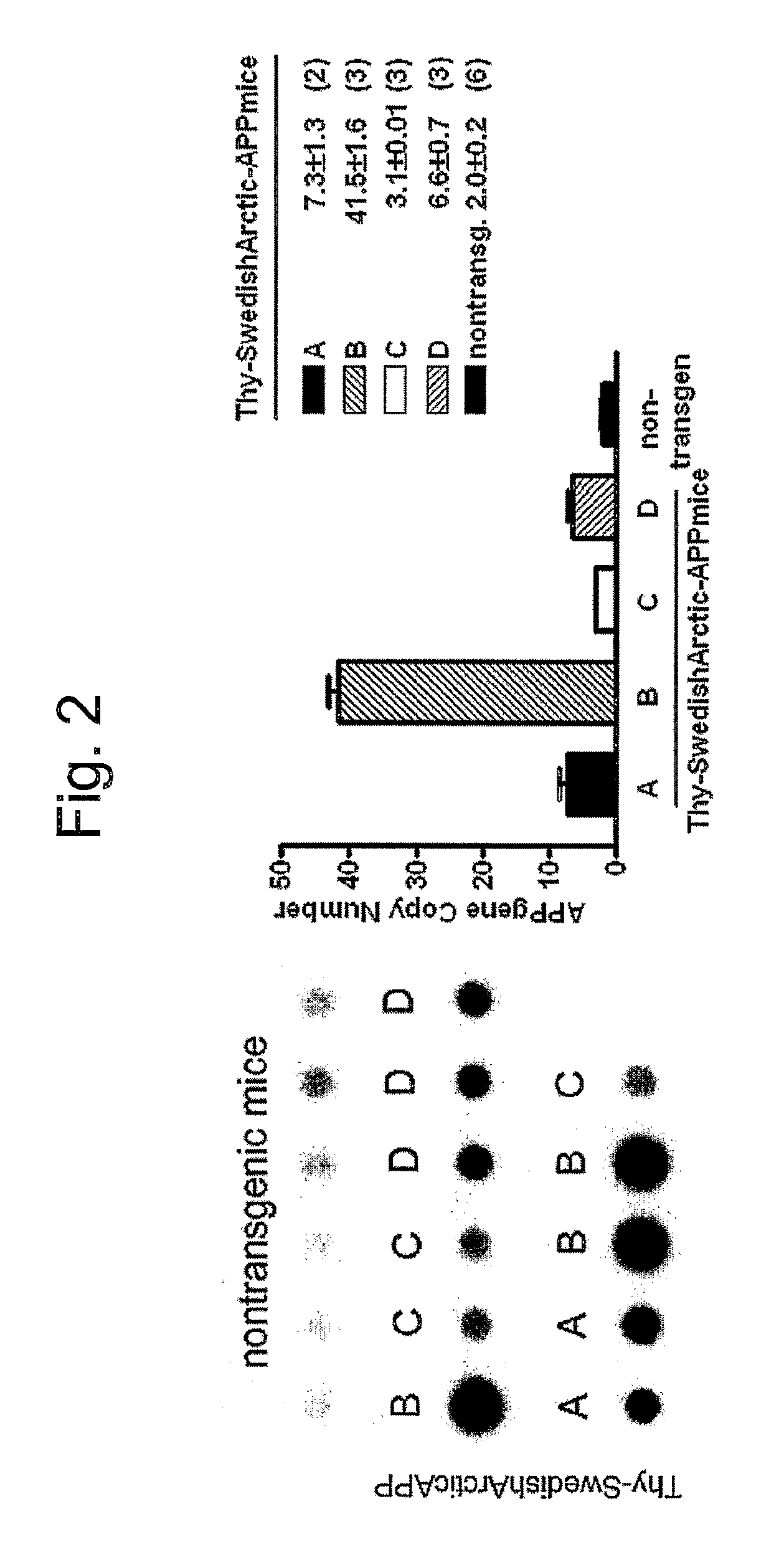 Transgenic mouse expressing arctic mutation E693G