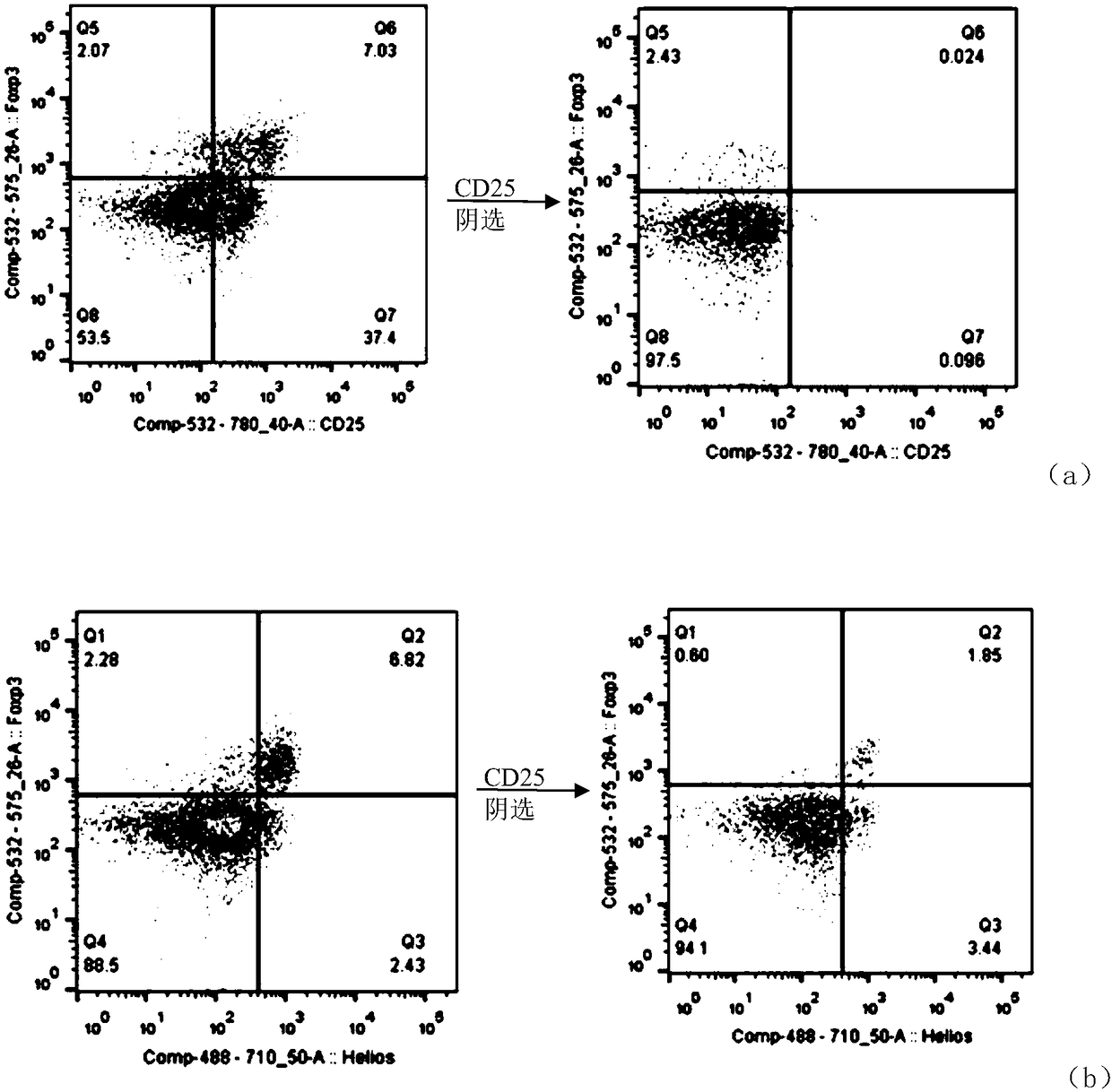 Screening method and application of T cells with high anticancer activity