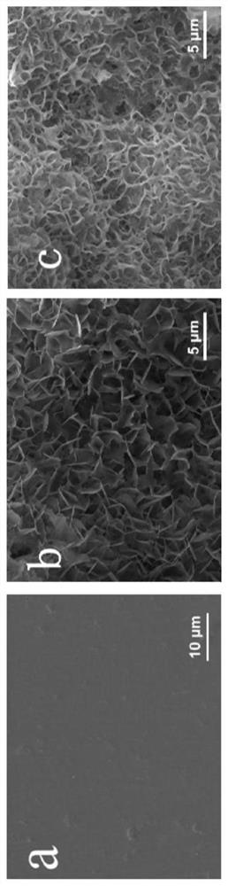 Magnesium alloy material with ca-p coating on surface carrying metal ions and its preparation method and application